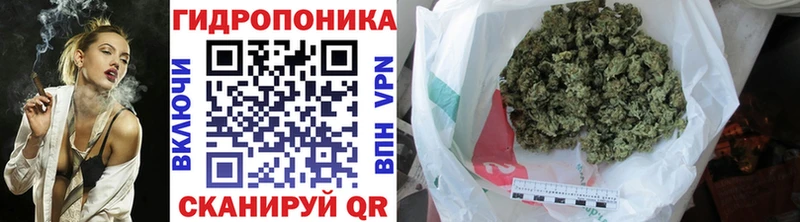 Бошки марихуана White Widow  где можно купить   Ступино 
